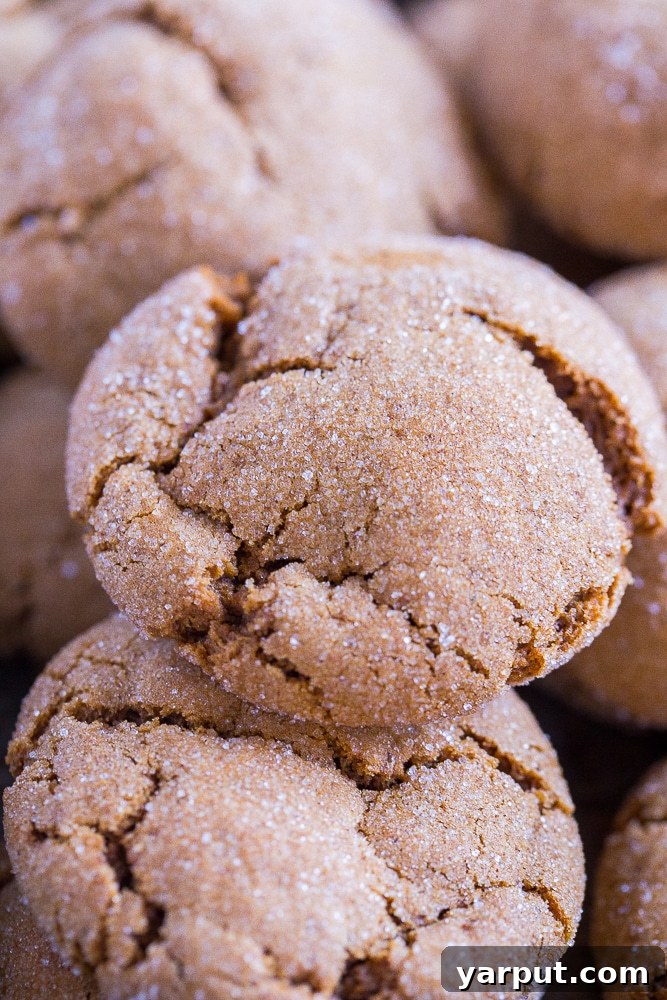 Spiced Vegan Molasses Cookies: Perfectly Soft and Chewy 5 Close up of Vegan Soft and Chewy Molasses Cookies with a dusting of sugar