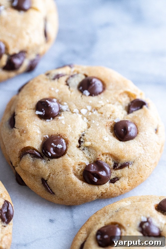 Ultimate Vegan Chocolate Chip Cookies 4 close up view of a vegan chocolate chip cookie with sea salt on top