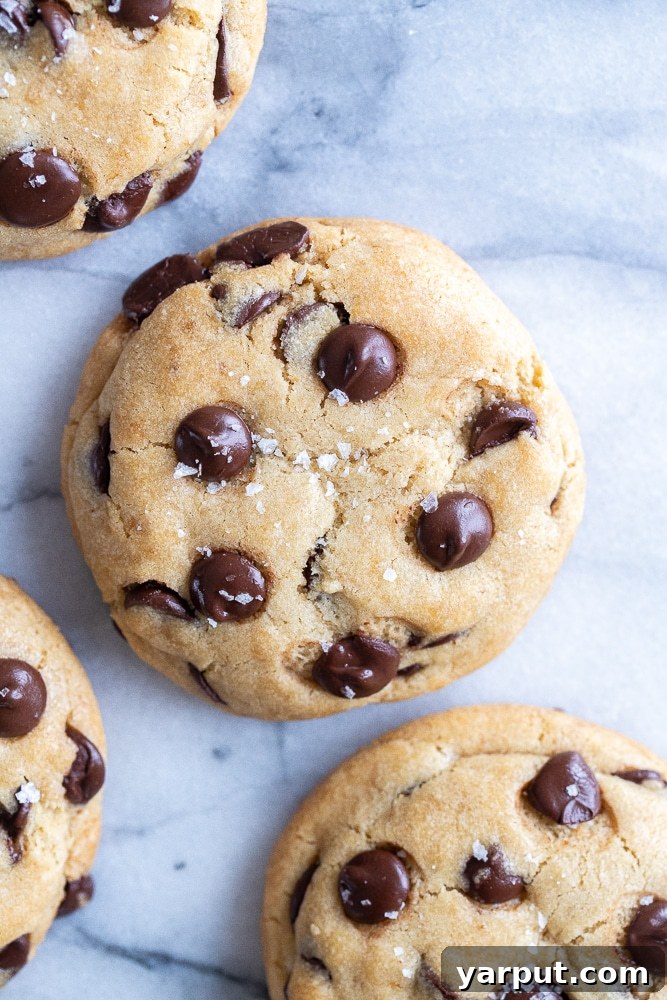 Ultimate Vegan Chocolate Chip Cookies 6 vegan chocolate chip cookies on a marble cutting board