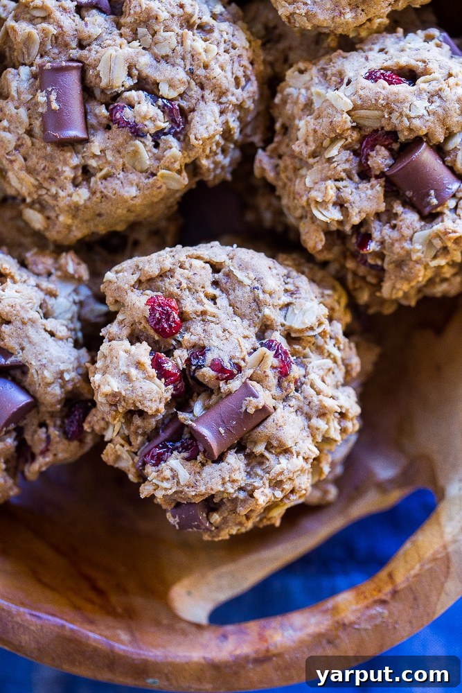 Wholesome Cranberry Chocolate Oatmeal Delights 2 Tray full of Healthier Oatmeal Cookies with dark chocolate and cranberries