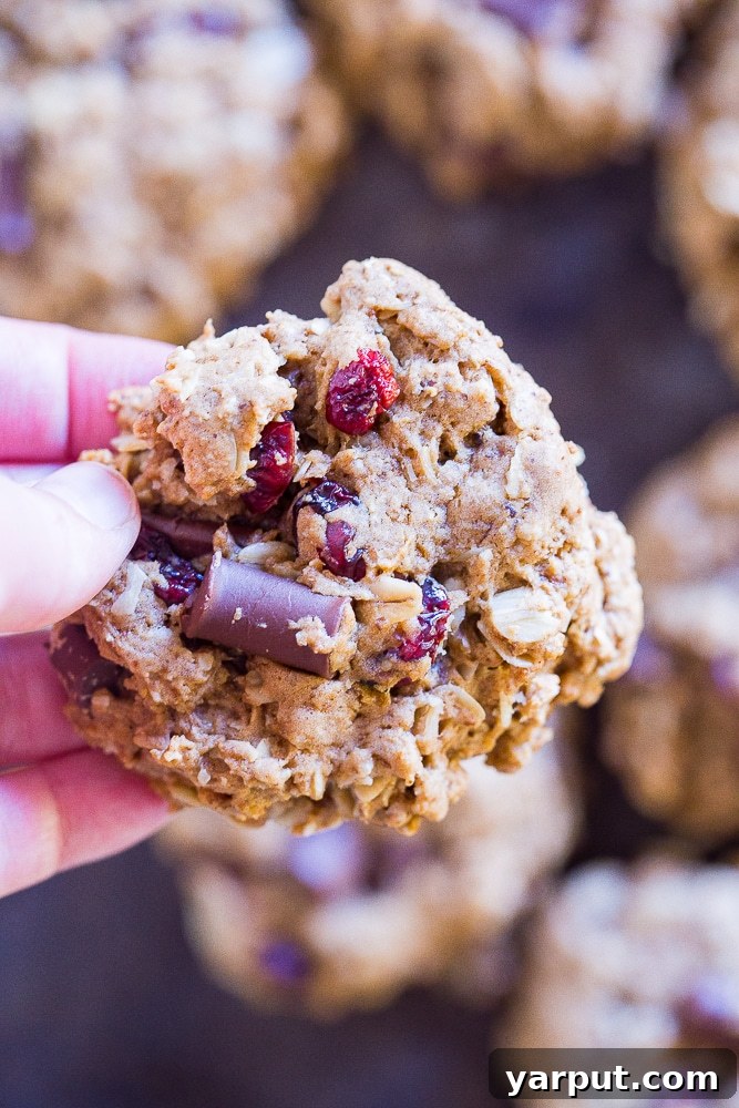 Wholesome Cranberry Chocolate Oatmeal Delights 3 Hand holding a Healthier Oatmeal Cookie with visible oats, cranberries, and chocolate