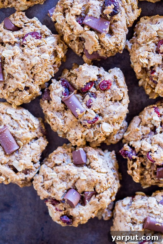 Wholesome Cranberry Chocolate Oatmeal Delights 4 Close-up of Healthier Oatmeal Cookies on a cooling rack