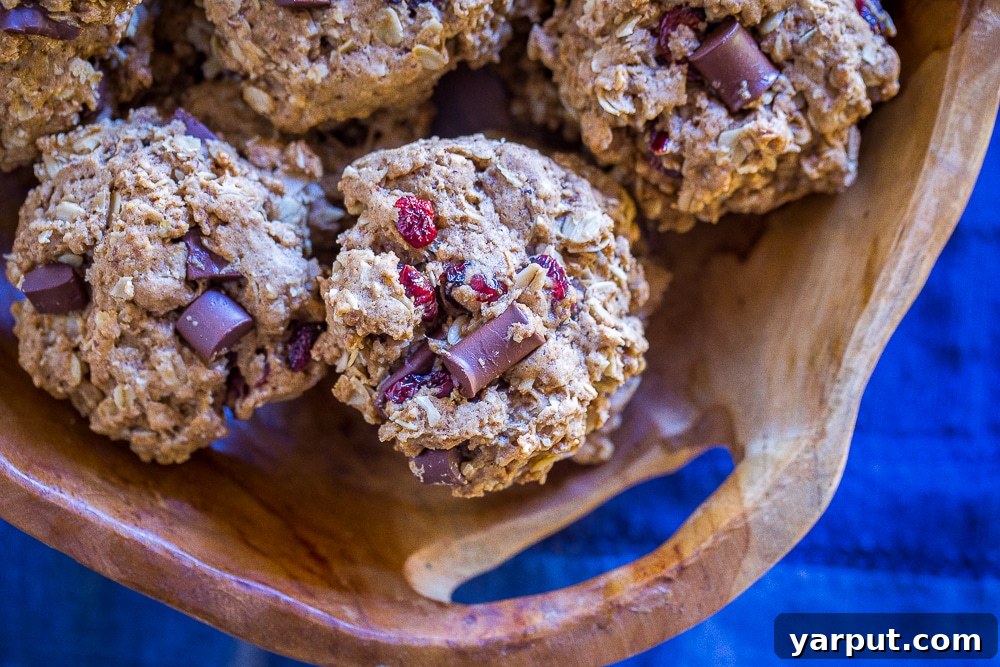 Wholesome Cranberry Chocolate Oatmeal Delights 5 Basket filled with Healthier Oatmeal Cookies and a cup of coffee