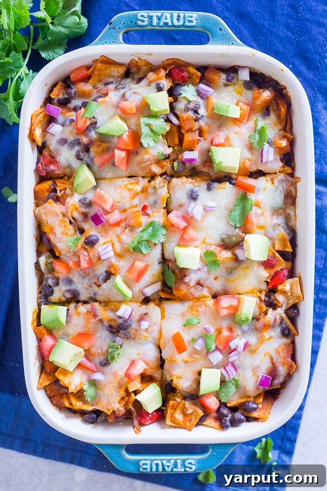 A pan of Black Bean Enchilada Casserole with Butternut Squash, freshly baked and bubbling, garnished with cilantro