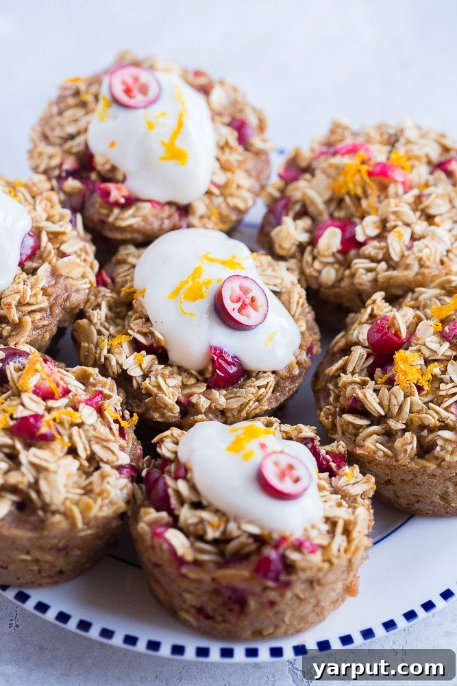 Zesty Orange Cranberry Oatmeal Muffins 8 A plate featuring several freshly baked Orange Cranberry Baked Oatmeal Cups, topped with a dollop of creamy yogurt and garnished with orange zest and a cranberry.