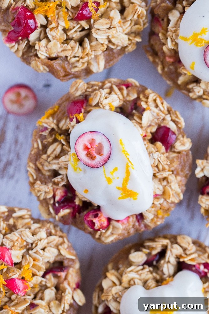 Zesty Orange Cranberry Oatmeal Muffins 9 Close-up of a single Orange Cranberry Baked Oatmeal Cup, showcasing the texture of the oats and cranberries within.