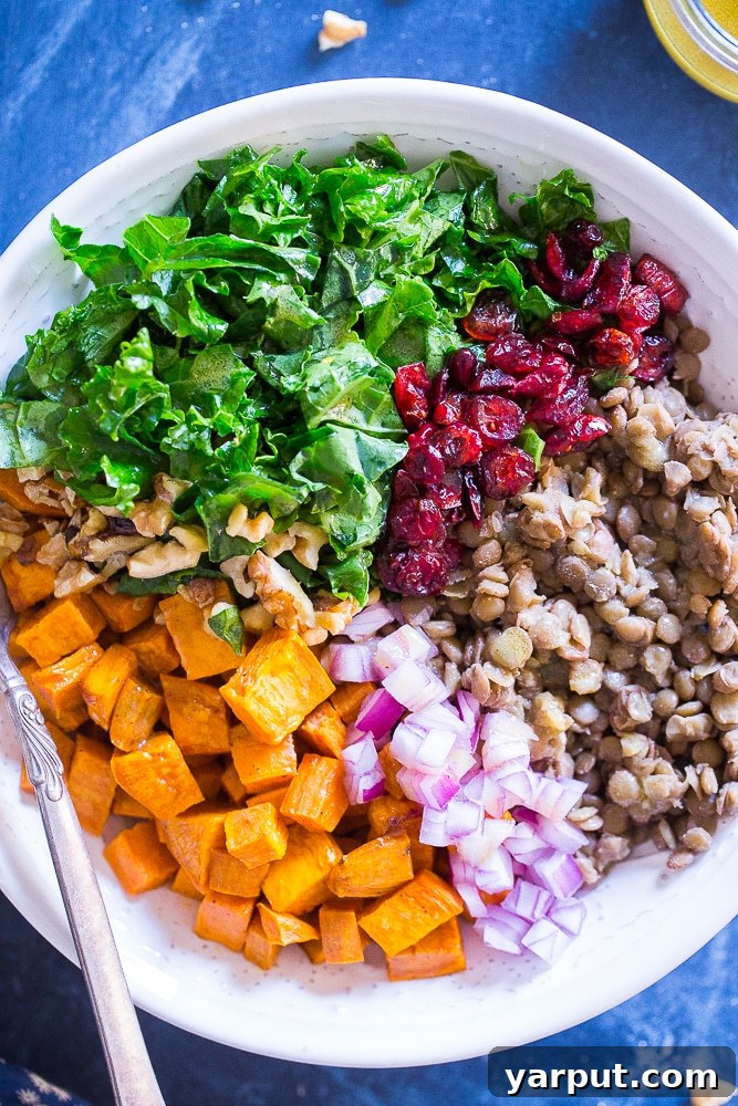 Vibrant Sweet Potato and Lentil Kale Salad 3 Close-up shot of the vibrant Kale Salad showcasing roasted sweet potatoes, green lentils, and massaged kale