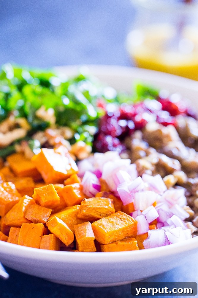 Vibrant Sweet Potato and Lentil Kale Salad 5 Front close up of the Kale Salad with Sweet Potato and Lentils, highlighting the vibrant colors and textures of the ingredients
