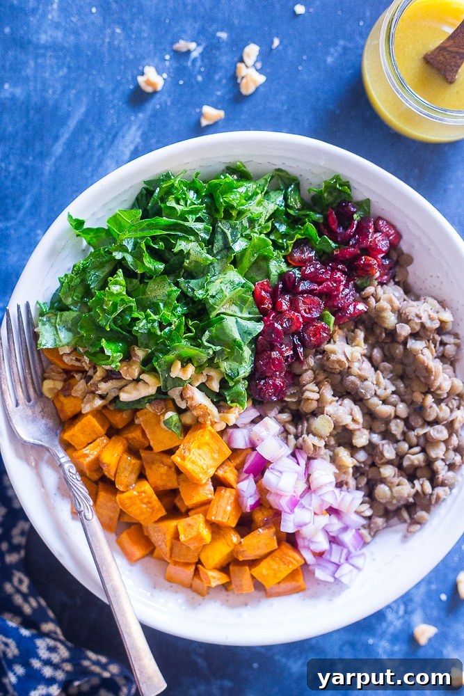 Vibrant Sweet Potato and Lentil Kale Salad 6 Kale Salad with Sweet Potato and Lentils in a bowl, perfectly dressed and ready to eat
