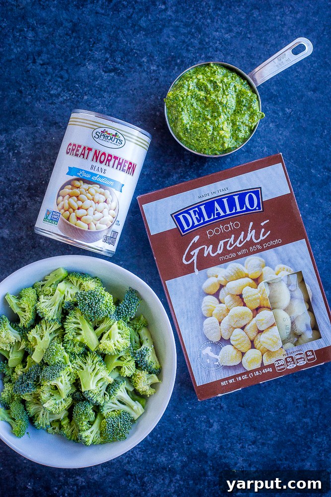 Quick 20-Minute One-Pan Pesto Gnocchi with White Beans and Broccoli 3 All the fresh ingredients laid out for the Pesto Gnocchi recipe, including plump gnocchi, vibrant broccoli florets, canned white beans, and a jar of green pesto