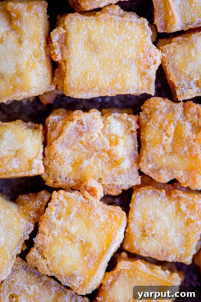 Crispy Baked Tofu Perfection 5 Close up of the BEST Crispy Tofu Recipe, showcasing its golden color and crunchy texture