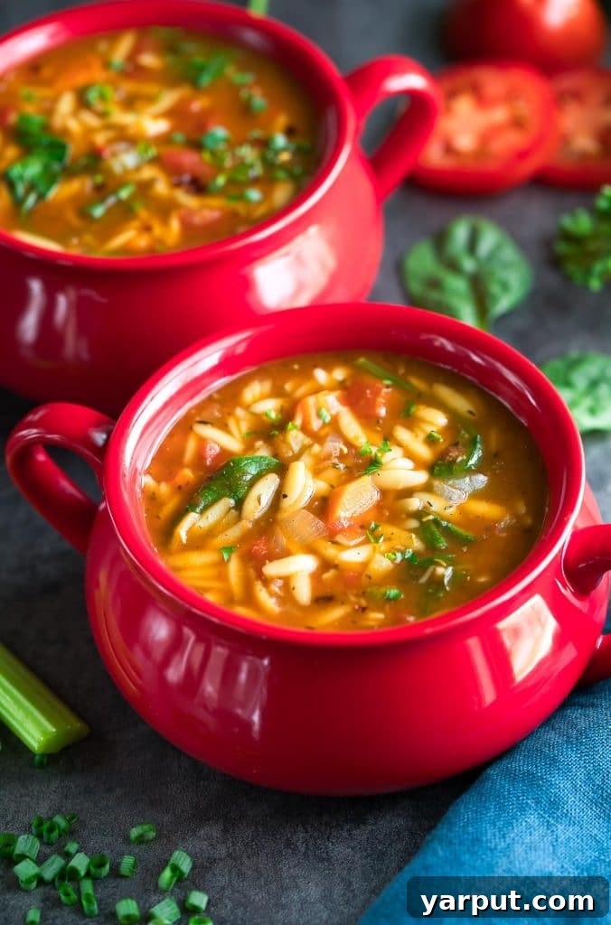 26 Vegan One-Pot Wonders for Easy Weeknights 4 Hearty One Pot Orzo Vegetable Soup from Peas and Crayons, garnished with fresh herbs