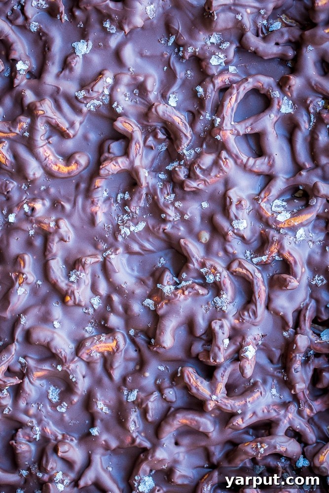 A close-up shot of the finished Chocolate Pretzel Bark, broken into delicious, irregular pieces, highlighting the visible pretzel bits and shiny chocolate.