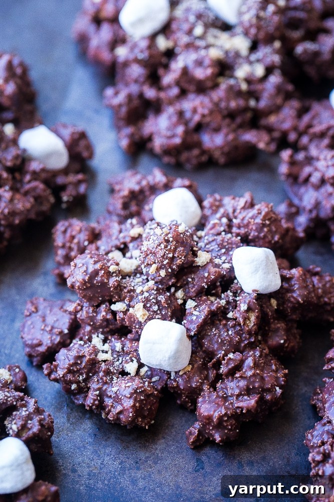 Close-up view of a perfectly stacked No-Bake S'mores Cookie, showcasing the rich chocolate, soft marshmallows, and crunchy graham cracker pieces. Ideal for a summer treat or quick dessert.