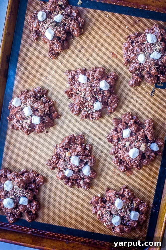 A tray full of freshly made No-Bake S'mores Cookies, perfectly chilled and ready to be enjoyed, showcasing their inviting texture.