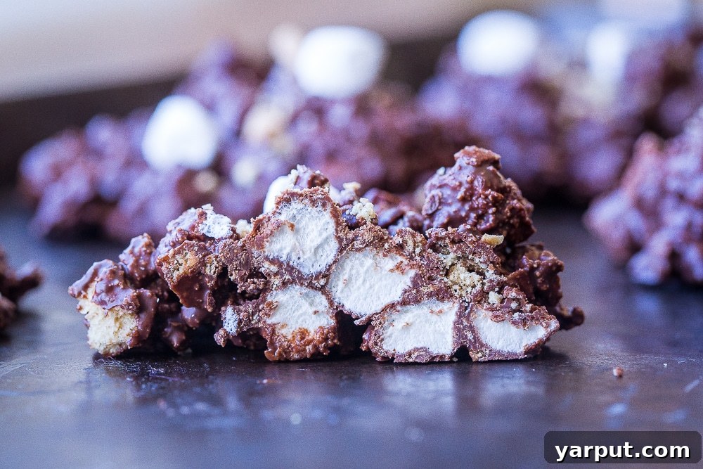 Inside view of a sliced No-Bake S'mores Cookie, revealing the intricate layers of chocolate-coated marshmallows and graham crackers. A perfect cross-section shot for recipe inspiration.