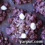 A finished No-Bake S'mores Cookie with a rich chocolate base and marshmallow toppings, resting on a rustic surface.