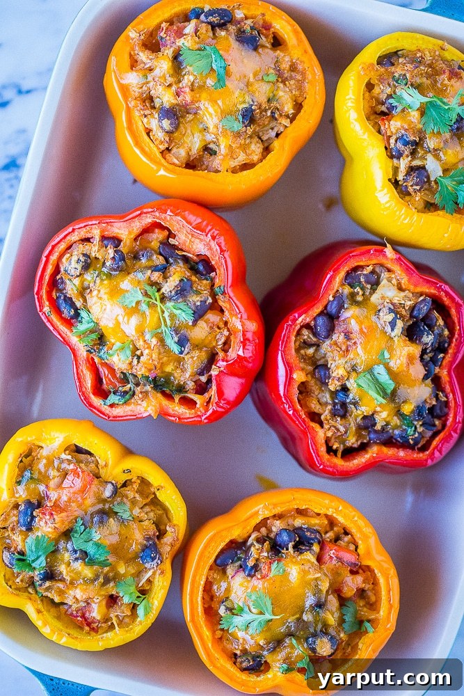 Wholesome Cauliflower Rice Stuffed Peppers 6 Two cooked vegetarian stuffed peppers, cheesy and golden brown, resting in a baking pan.
