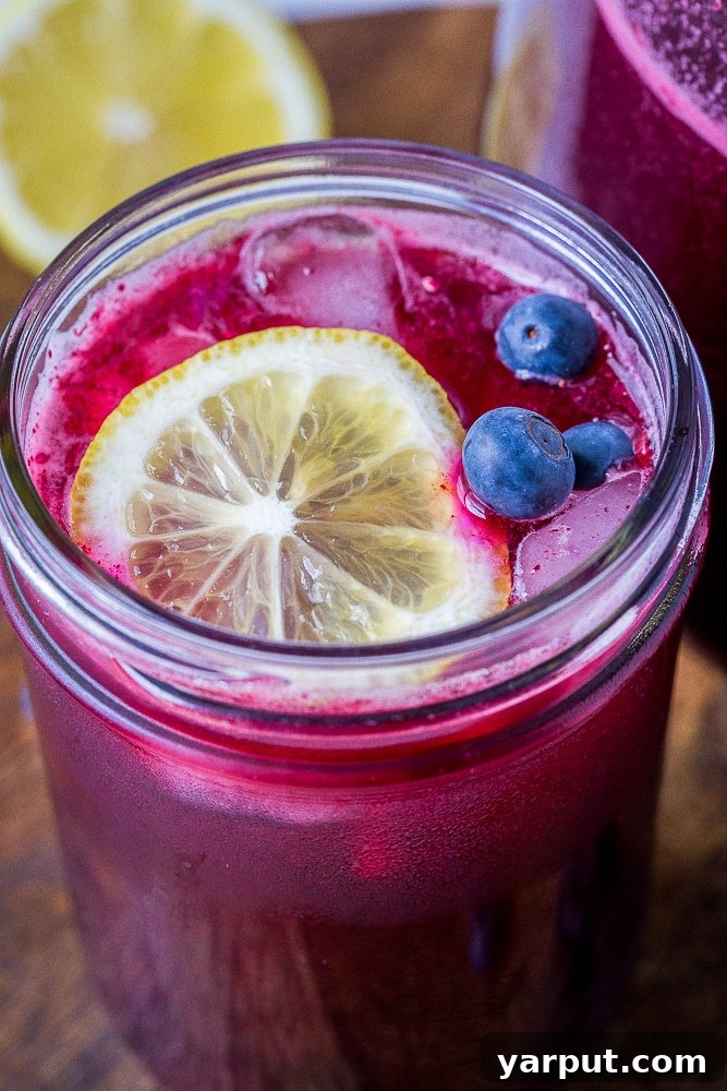 A close-up shot of a glass of homemade blueberry lemonade, showing the vibrant purple hue, condensation on the glass, melting ice cubes, and small pieces of blueberry pulp. It's garnished with a lemon slice and fresh blueberries.