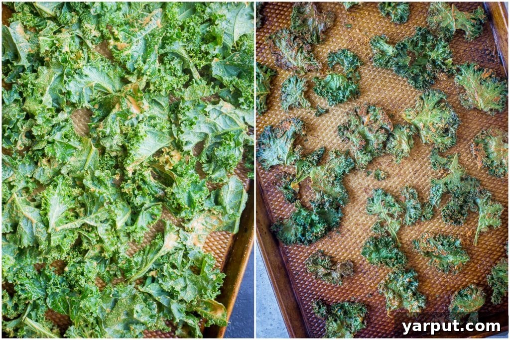 The Ultimate Crispy Kale Chips 4 Before and after recipe photos for the best kale chips