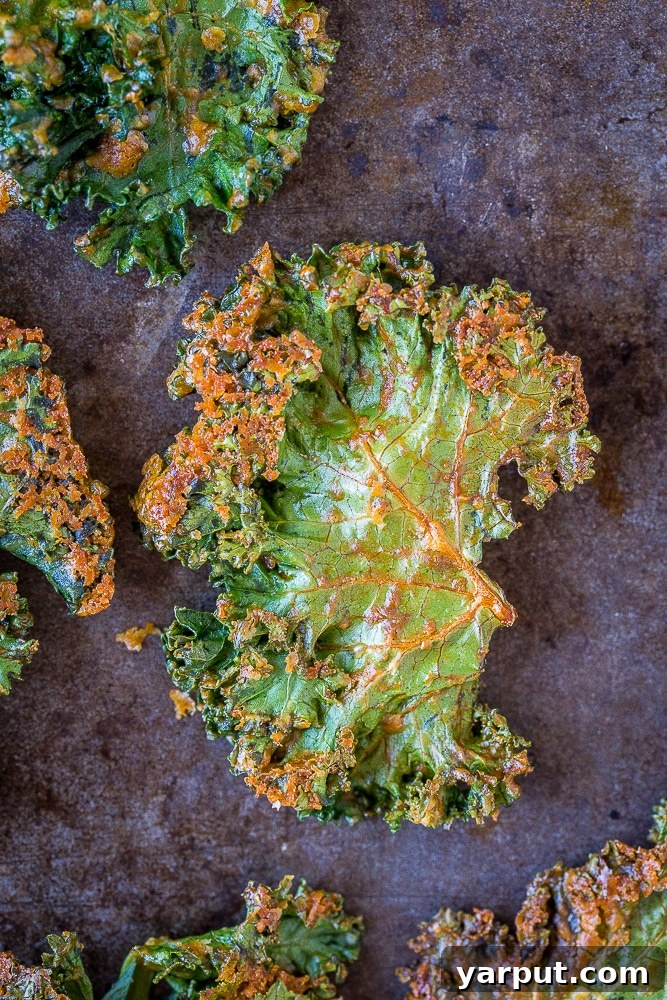The Ultimate Crispy Kale Chips 5 Close up of the best kale chips