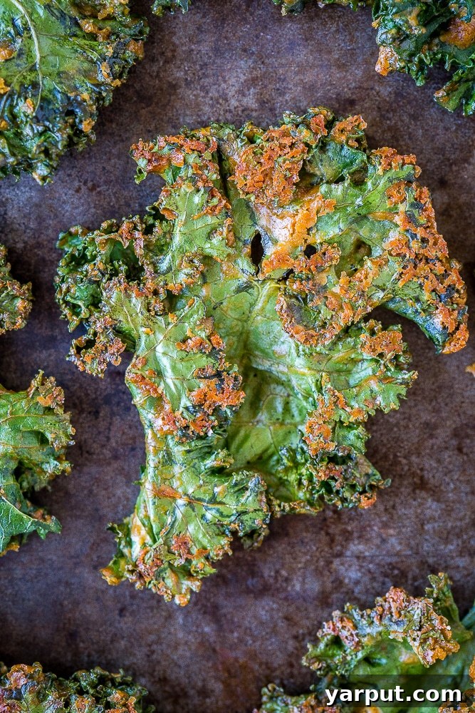The Ultimate Crispy Kale Chips 6 Close up of the best kale chip recipe