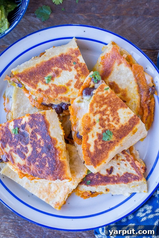 Chile-Kissed Pumpkin & Black Bean Quesadillas 2 Pumpkin Quesadillas cut up on a plate