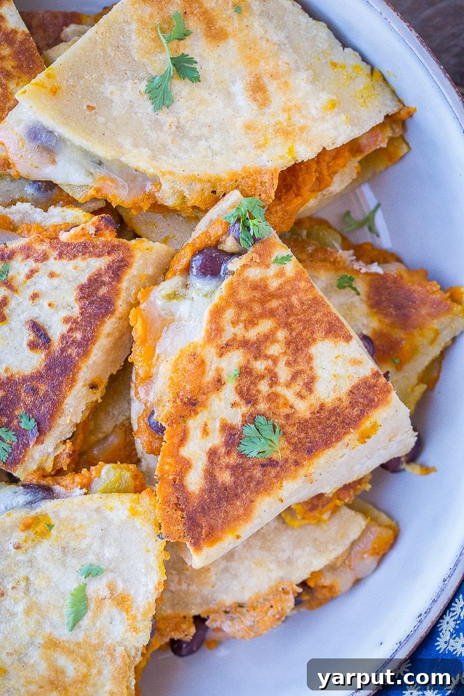 Chile-Kissed Pumpkin & Black Bean Quesadillas 5 Close up photo of pumpkin quesadilla on a plate