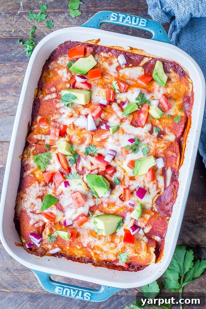Irresistible Vegetarian Enchiladas 2 A pan of healthy vegetarian enchiladas, freshly baked and ready to serve