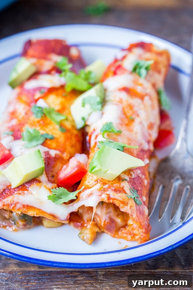 Irresistible Vegetarian Enchiladas 5 A single serving of a healthy vegetarian enchilada on a white plate, garnished with fresh avocado and cilantro