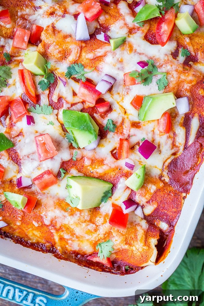 Irresistible Vegetarian Enchiladas 6 Close-up shot of vegetarian enchiladas baked to perfection in a rectangular baking dish, topped with melted cheese and rich red sauce