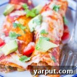 The Best Vegetarian Enchiladas recipe image