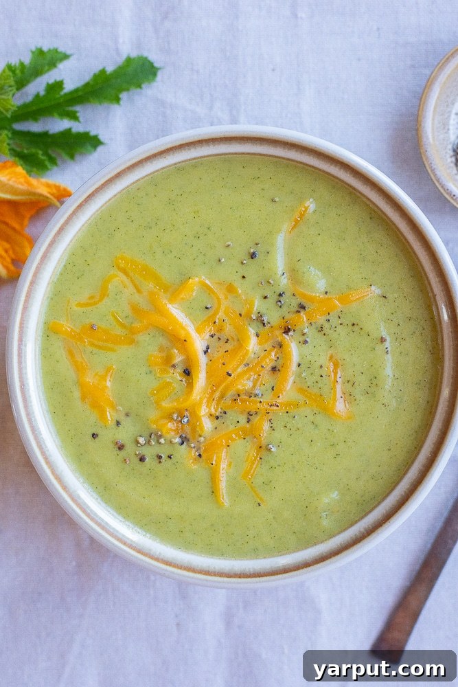 23 Deliciously Hearty Vegetarian Soups 8 Cheesy Zucchini Soup, a cozy and easy way to use extra zucchini