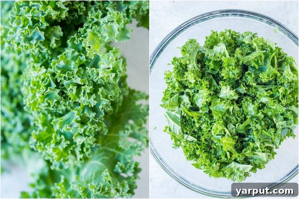 Autumn Abundance Salad 4 Ingredients for fall harvest salad recipe, close up of kale and kale in a a bowl