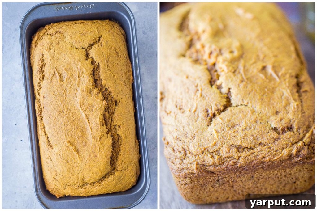 Simple One-Bowl Naturally Sweetened Pumpkin Bread 3 Healthy Pumpkin Bread baking in a loaf pan, followed by a close-up of a golden-brown loaf cooling on a rack.