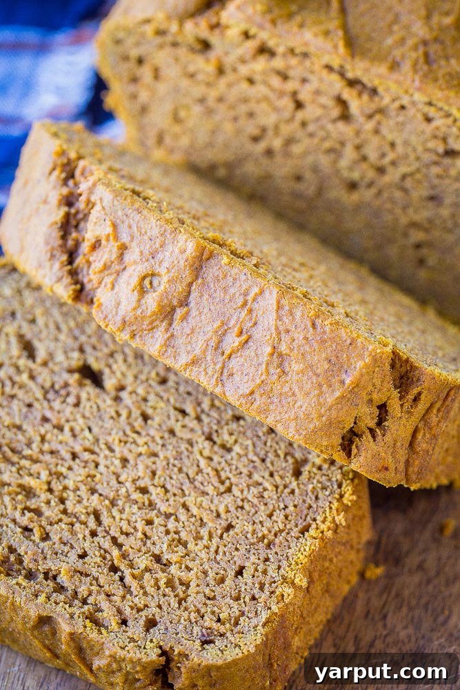 Simple One-Bowl Naturally Sweetened Pumpkin Bread 5 A close-up of a perfectly sliced piece of Healthy Pumpkin Bread, showing its tender crumb and pumpkin spice flecks.