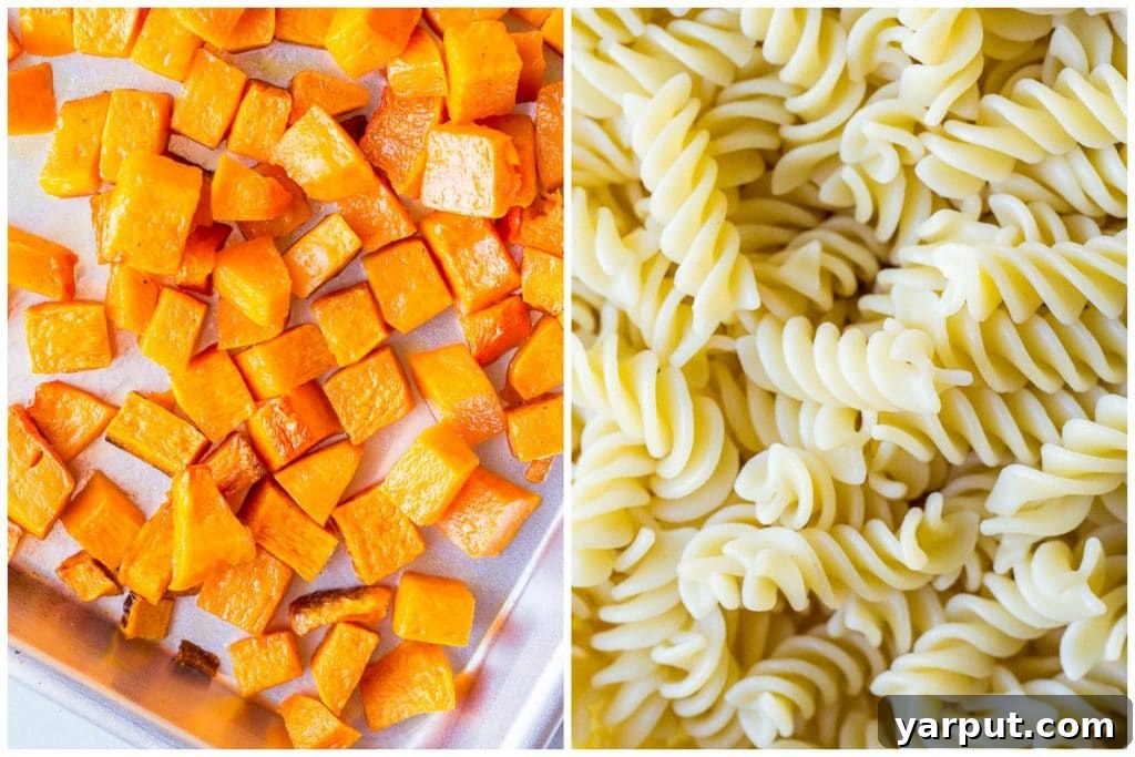 An array of fresh, colorful ingredients for Fall Pasta Salad, including raw butternut squash, uncooked rigatoni pasta, vibrant green broccoli florets, and dried cranberries, neatly arranged to highlight their natural beauty.
