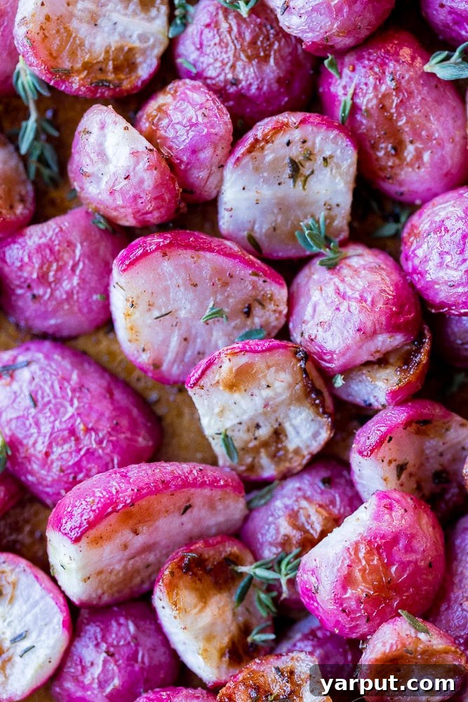 Oven-Roasted Radishes with Garlic and Fresh Herbs 5 A close-up of a serving of roasted radishes, showcasing their tender texture and the golden-brown edges from caramelization, garnished with fresh herbs.