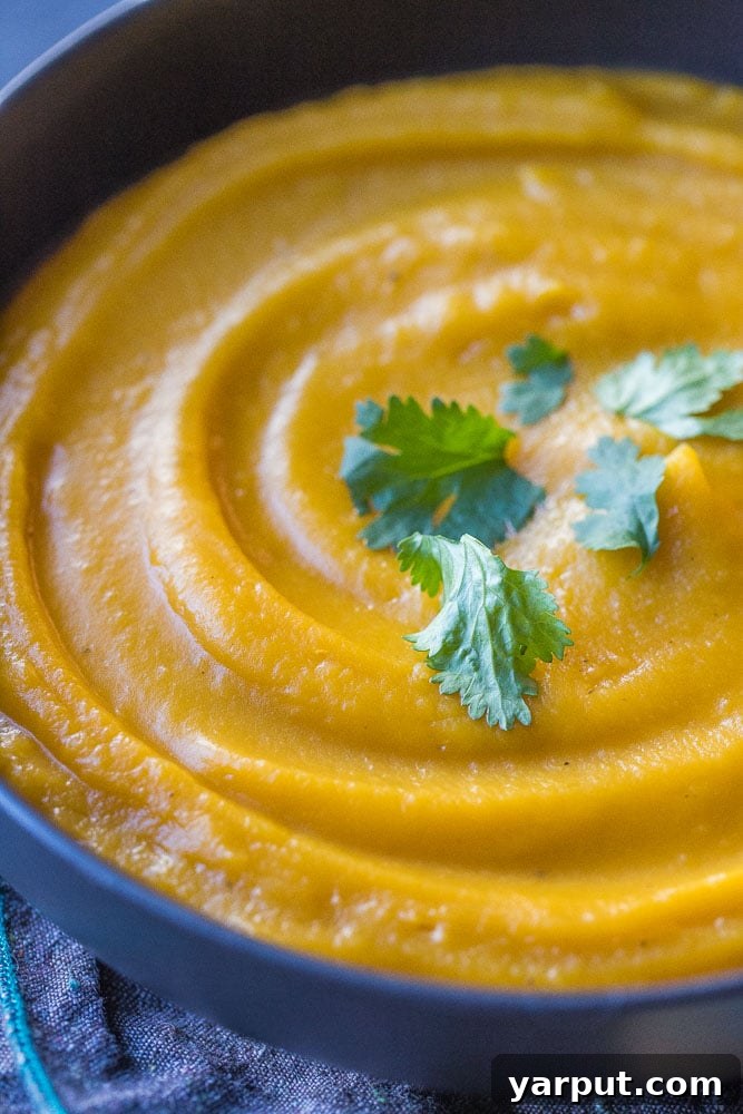 Velvety Roasted Butternut Squash Soup 5 Close up shot of creamy roasted butternut squash soup in a bowl, showing its smooth texture and rich color