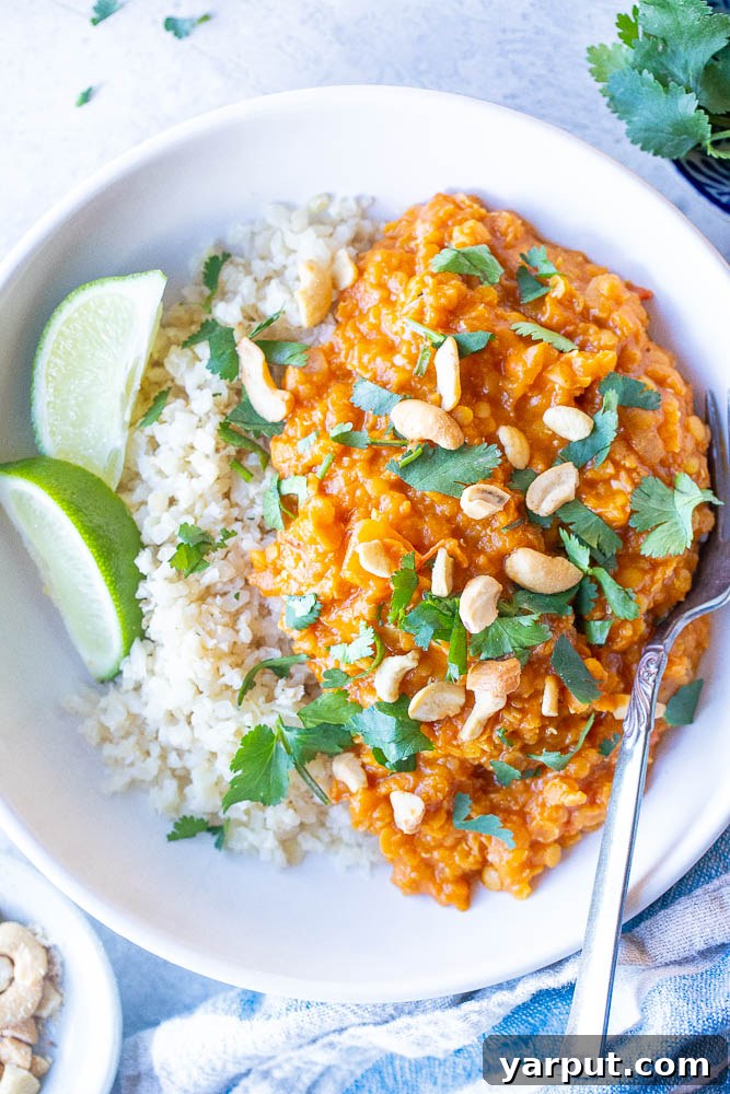 Simple Red Lentil Delight 2 Close up bowl of vibrant Red Lentil Curry garnished with fresh cilantro
