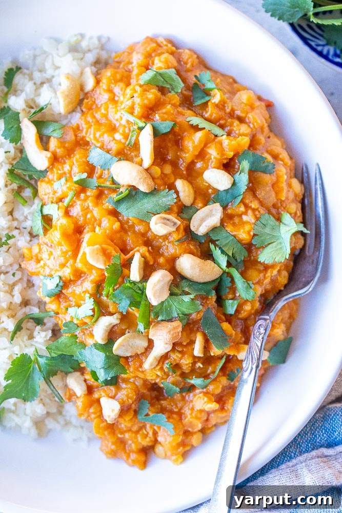 Simple Red Lentil Delight 6 Close up photo of a steaming bowl of red lentil curry, ready to be enjoyed