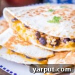 A plate of golden-brown rice and bean quesadillas.