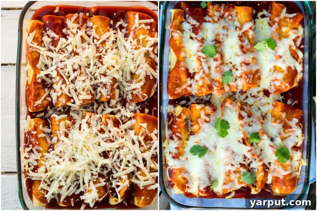 Spaghetti Squash Noodle Black Bean Enchiladas 4 spaghetti squash enchiladas before and after they're baked in the oven