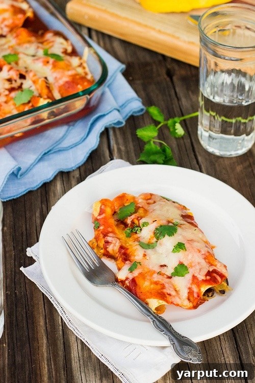 Spaghetti Squash Noodle Black Bean Enchiladas 5 enchiladas on a plate