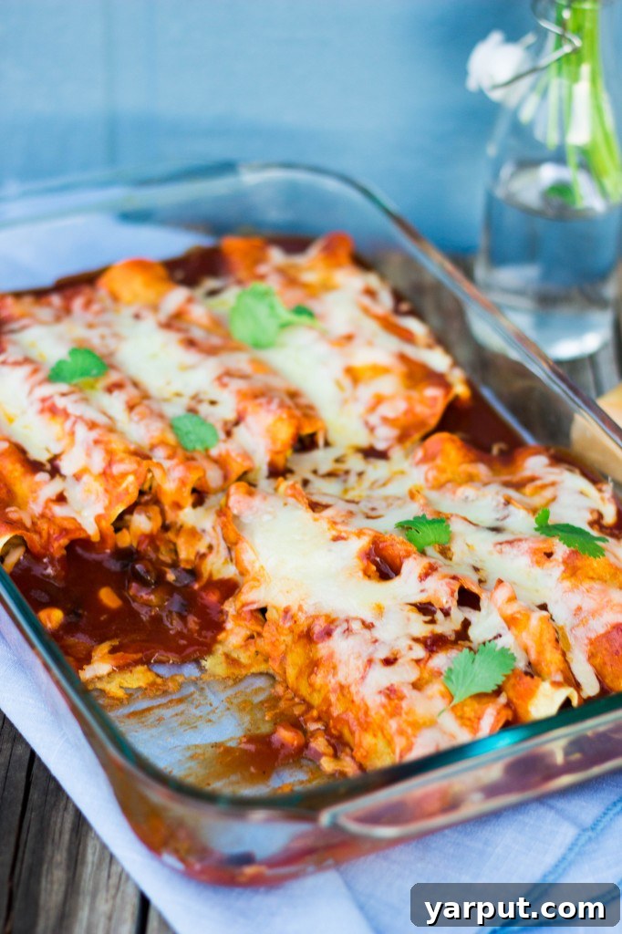 Spaghetti Squash Noodle Black Bean Enchiladas 6 tray of spaghetti squash and black bean enchiladas