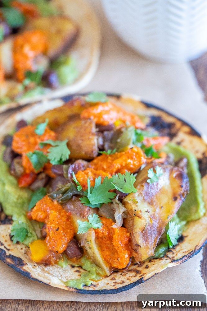 Trader Joe's Five Series: Spicy Potato Tacos with Black Beans 6 An inviting close-up of a single spicy potato taco, revealing the crispy potatoes, black beans, creamy guacamole, and vibrant romesco sauce, perfectly layered in a corn tortilla.