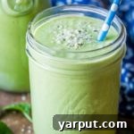 Kid Friendly Green Smoothie Recipe