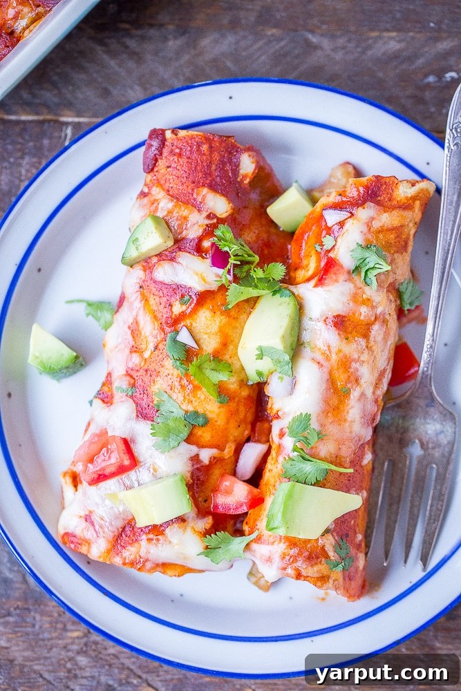 Best Vegetarian Enchiladas, packed with a delicious filling and rich sauce, baked to perfection in a casserole dish.