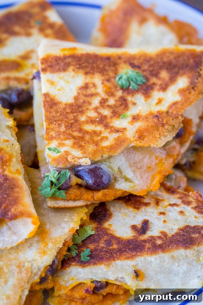 Pumpkin Quesadillas with Black Beans and Green Chile, a unique and flavorful autumn-inspired quesadilla, served golden brown.
