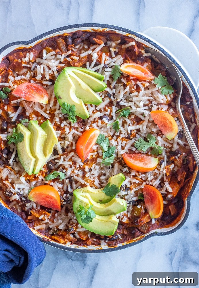 Skillet Pumpkin Enchiladas with Black Beans, a comforting and unique vegetarian enchilada dish topped with fresh cilantro.